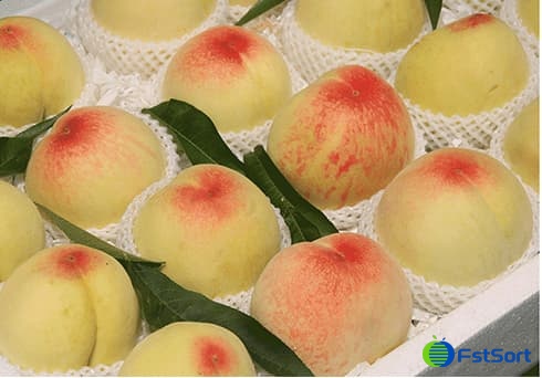 images/1656664376871peach sorting machine.jpg